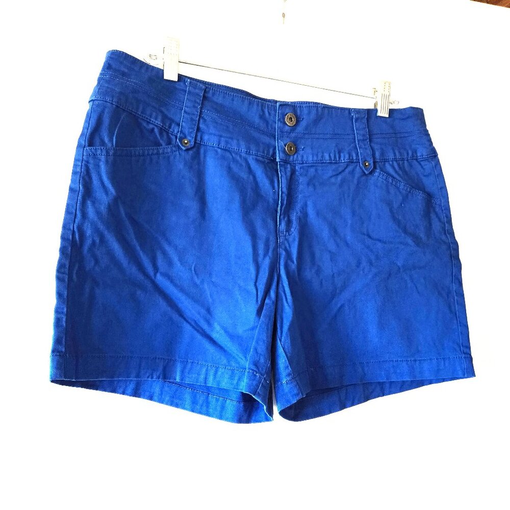 Ricki's Summer Shorts - size 12